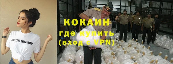МДПВ Михайлов