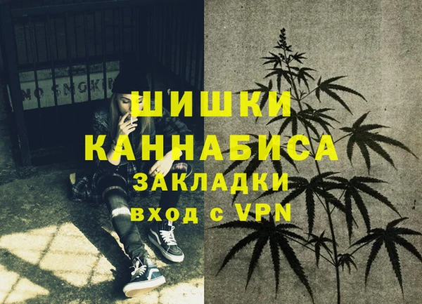 МДПВ Михайлов