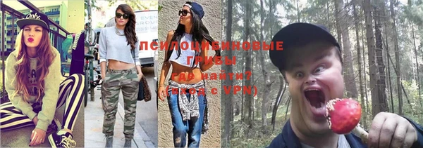МДПВ Михайлов