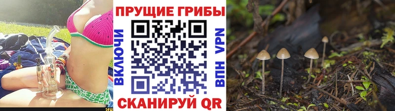 Галлюциногенные грибы MAGIC MUSHROOMS  Касли 